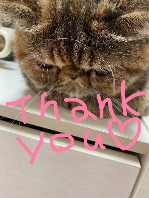 おはようございます☀