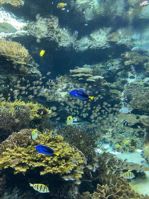 11/27 お礼日記です